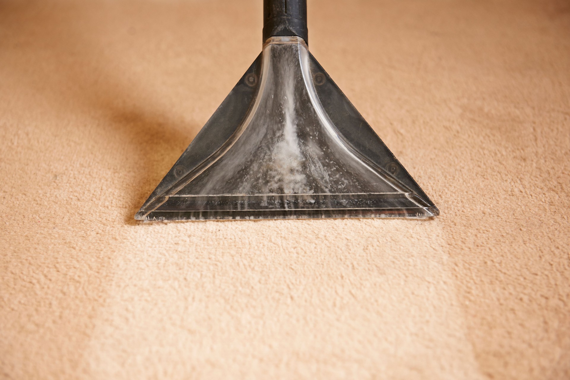 Professionally Cleaning Carpets